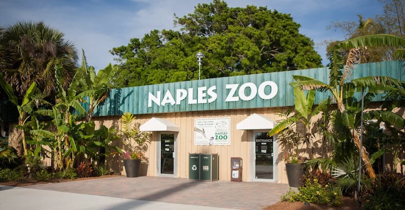 Naples zoo at Caribbean gardens Naples Florida 